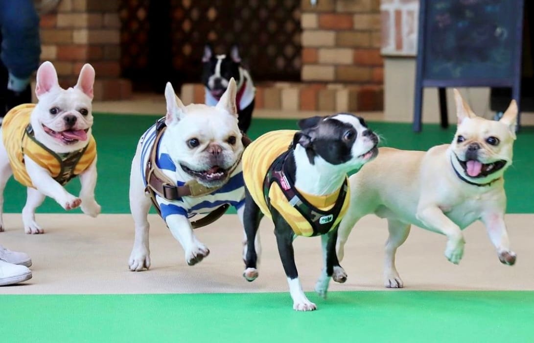 イベントアイキャッチ