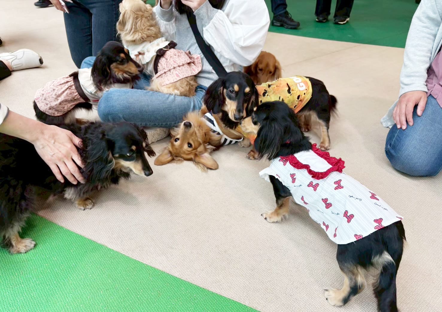 イベントアイキャッチ