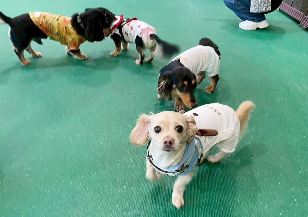 イベントアイキャッチ