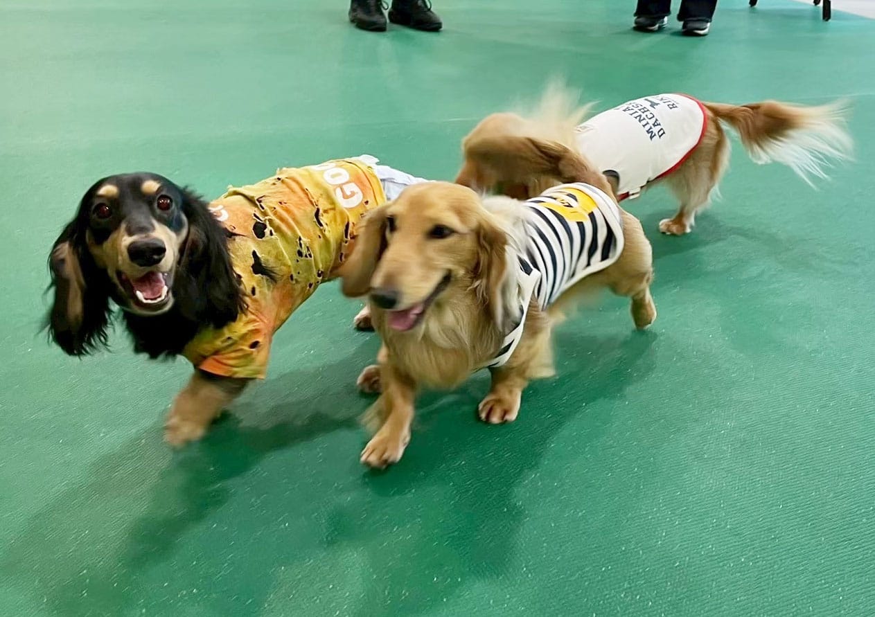 イベントアイキャッチ