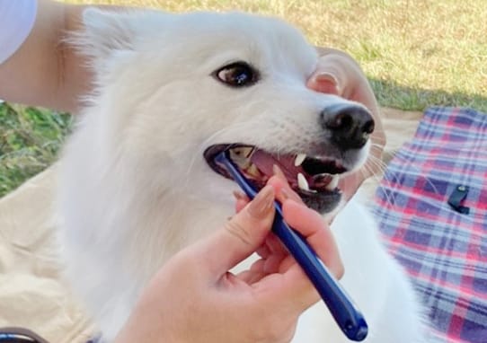 イベントアイキャッチ