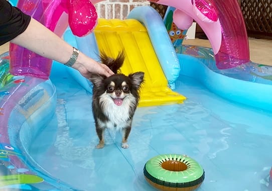 イベントアイキャッチ