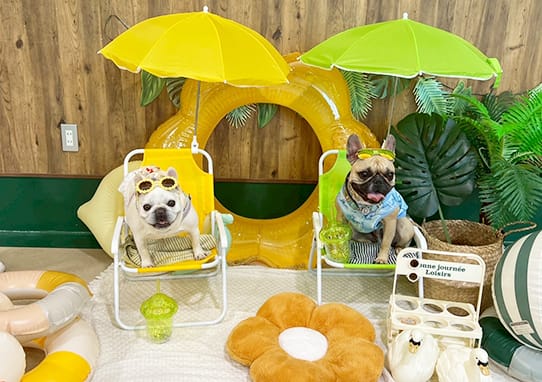 イベントアイキャッチ