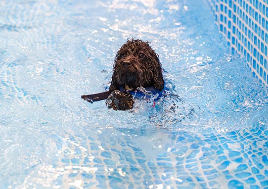 イベントアイキャッチ
