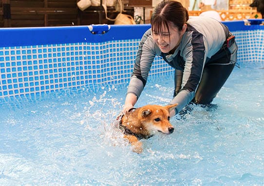 イベントアイキャッチ