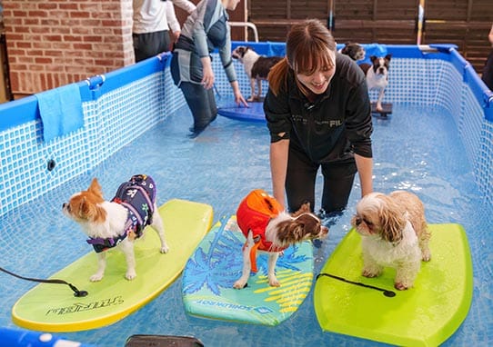 イベントアイキャッチ