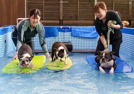 イベントアイキャッチ