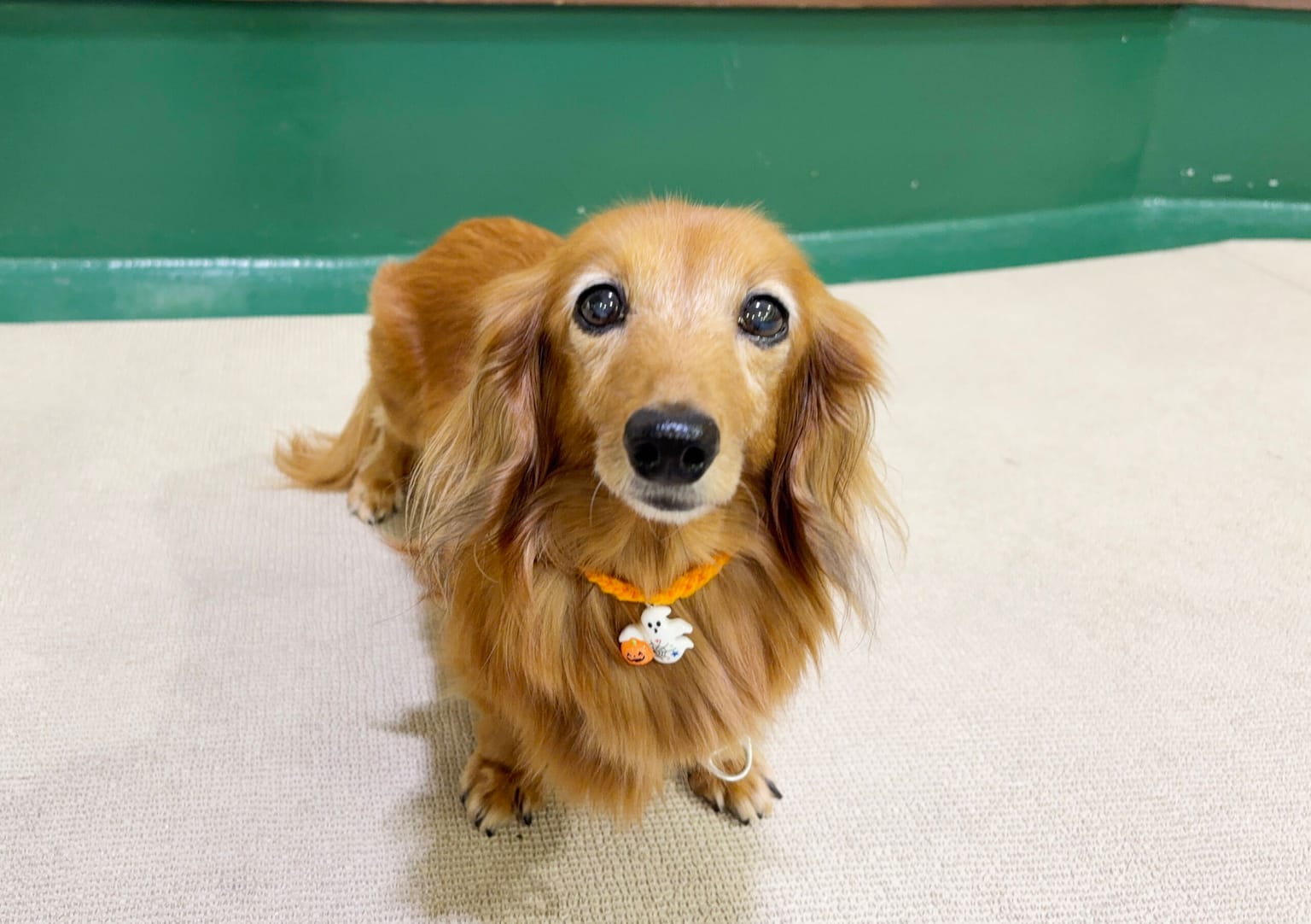 イベントアイキャッチ