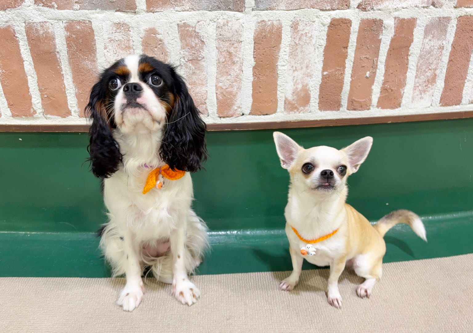 イベントアイキャッチ