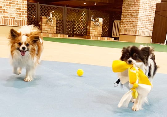 イベントアイキャッチ