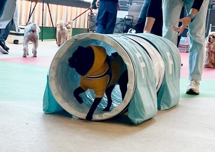 イベントアイキャッチ