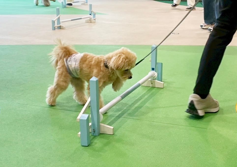 イベントアイキャッチ