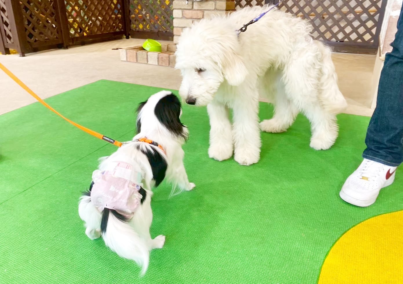 イベントアイキャッチ