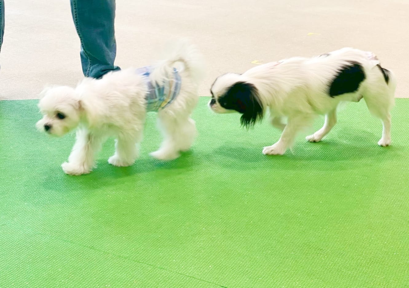 イベントアイキャッチ