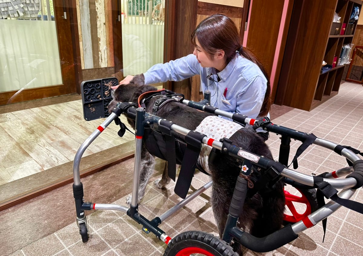 イベントアイキャッチ