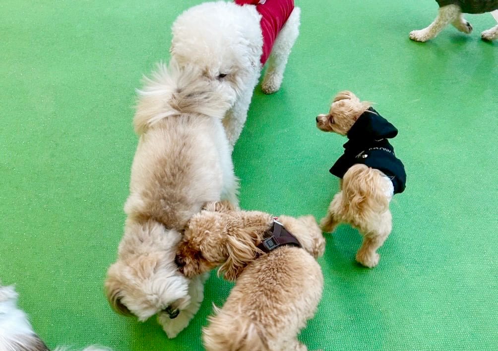 イベントアイキャッチ