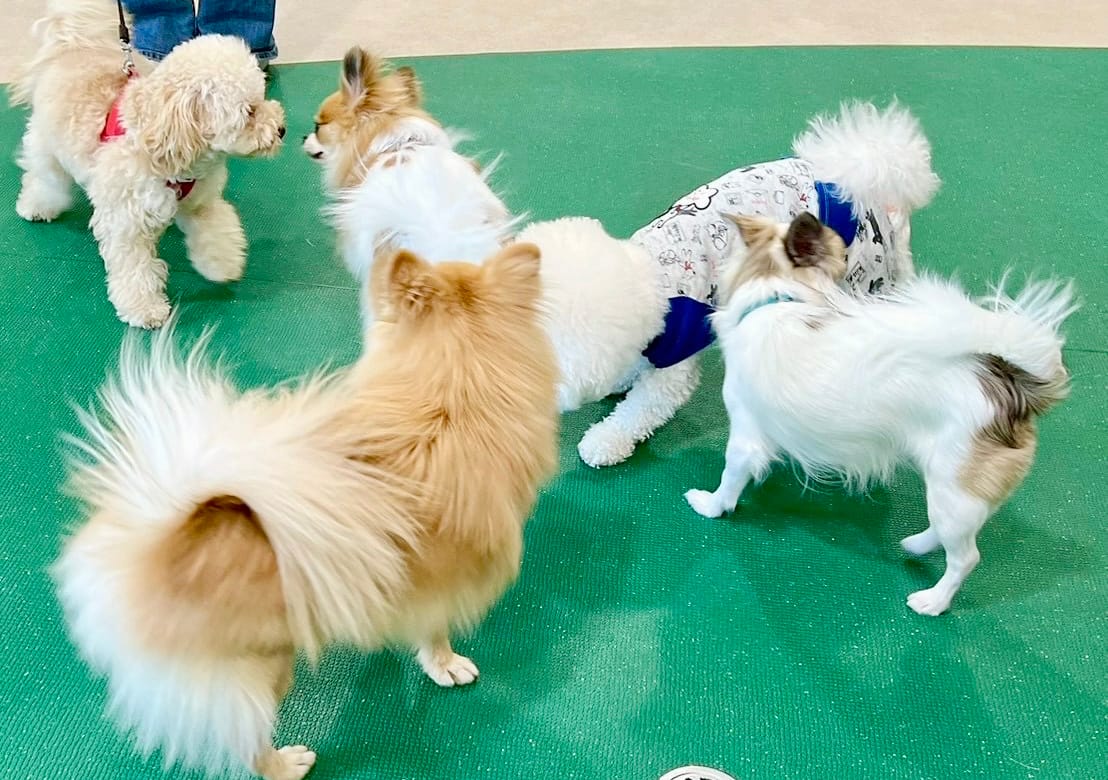 イベントアイキャッチ