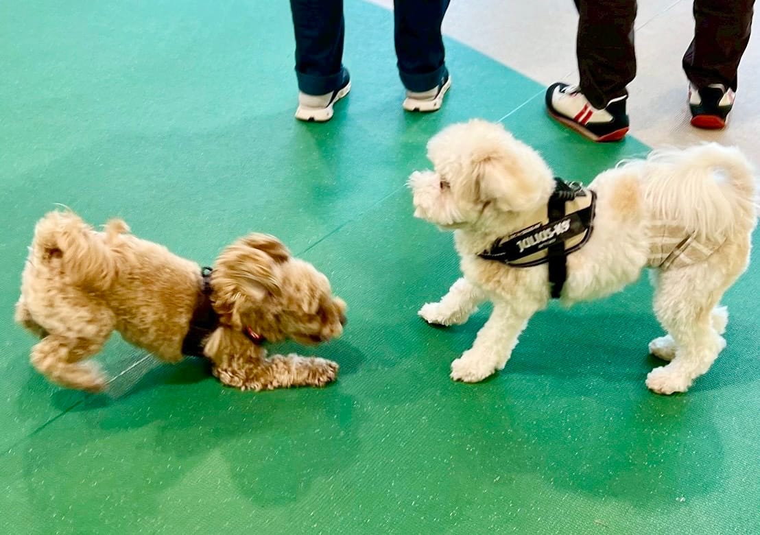 イベントアイキャッチ