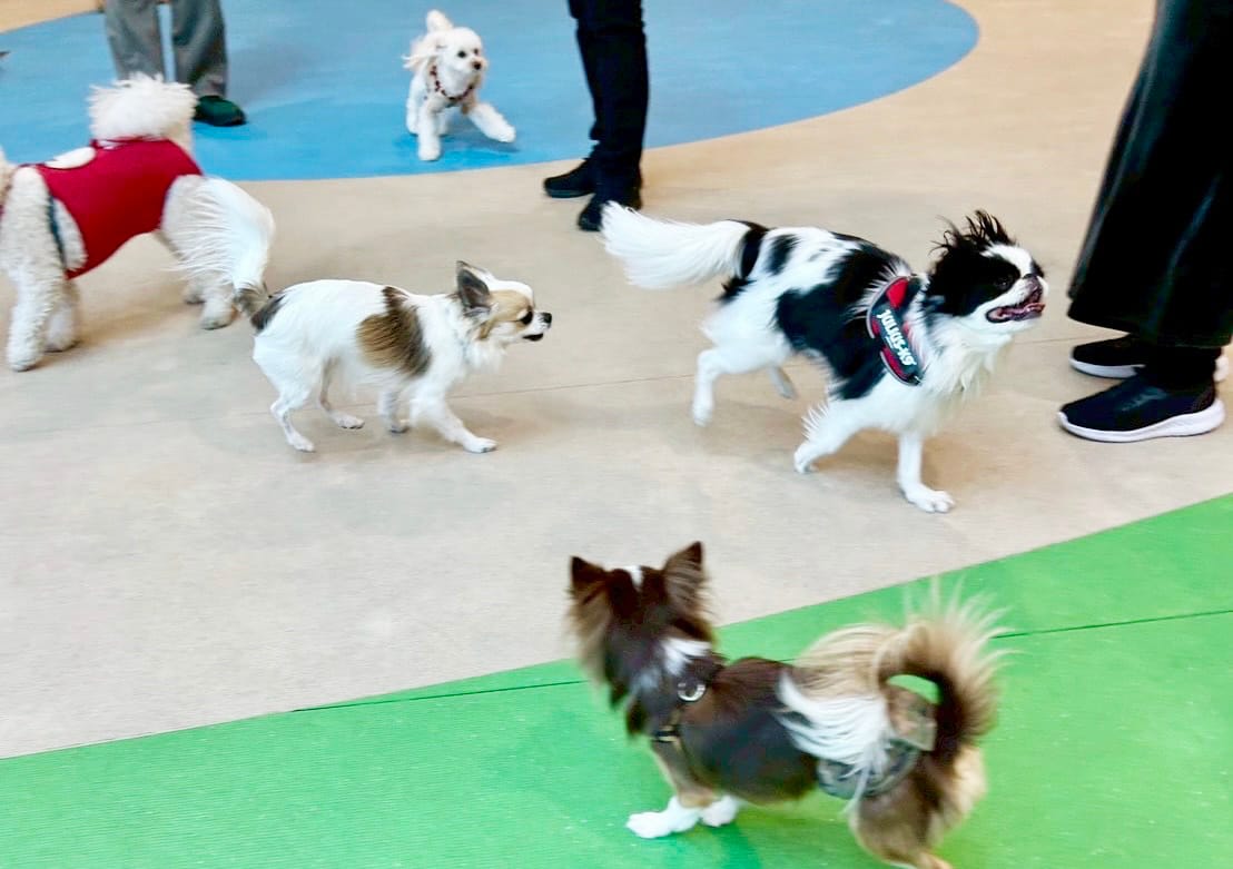 イベントアイキャッチ