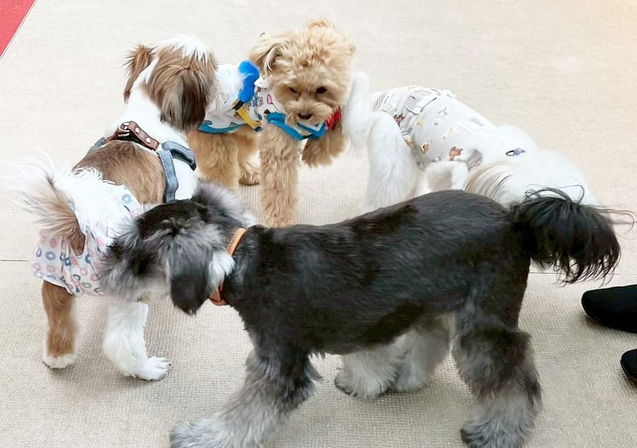 イベントアイキャッチ