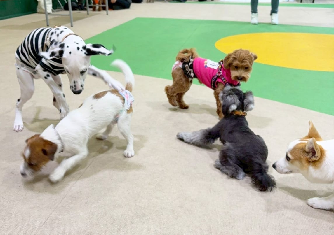 イベントアイキャッチ