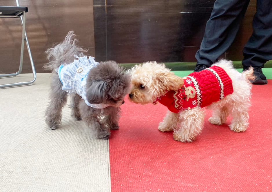 イベントアイキャッチ