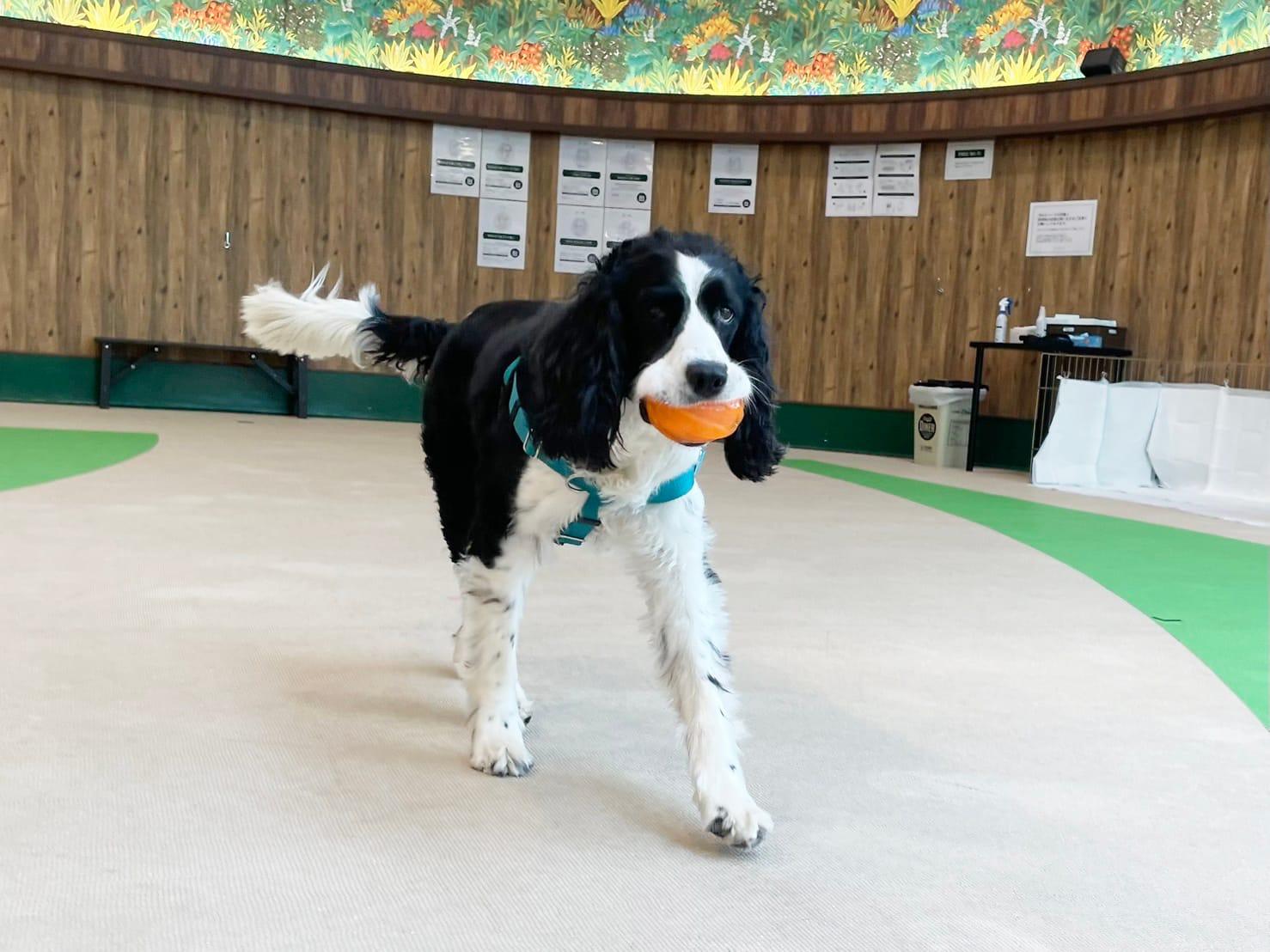 イベントアイキャッチ