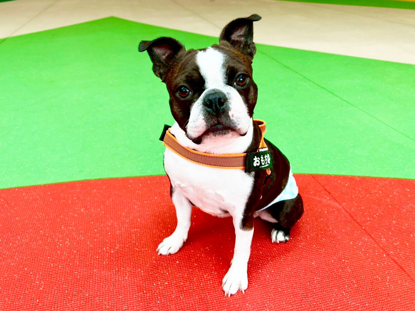 イベントアイキャッチ