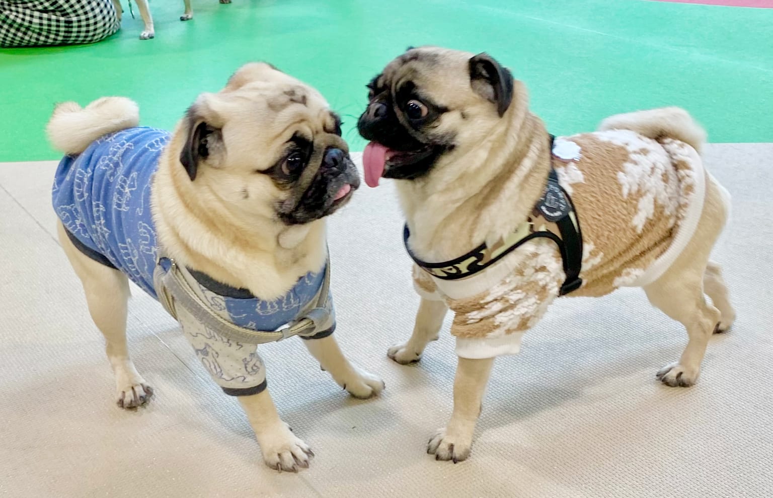 イベントアイキャッチ