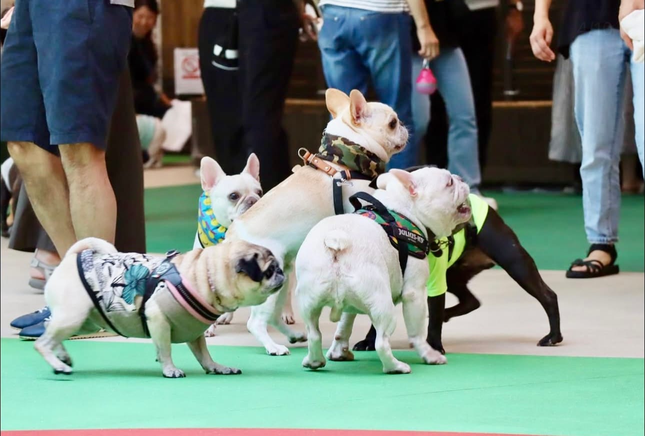 イベントアイキャッチ