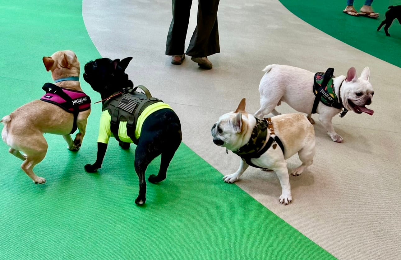 イベントアイキャッチ