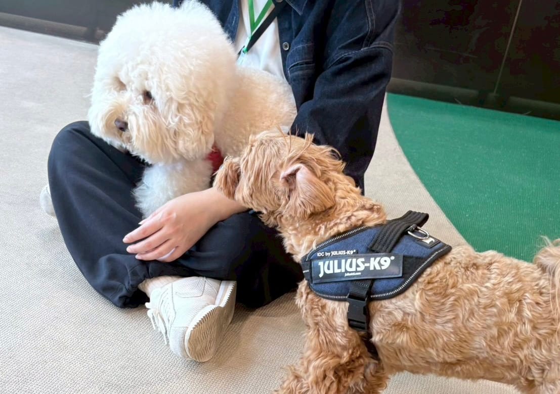 イベントアイキャッチ