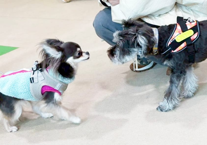 イベントアイキャッチ