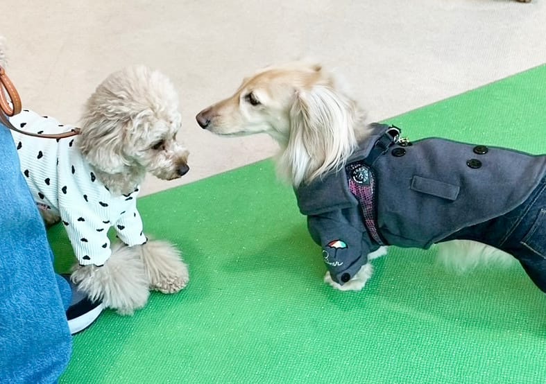 イベントアイキャッチ