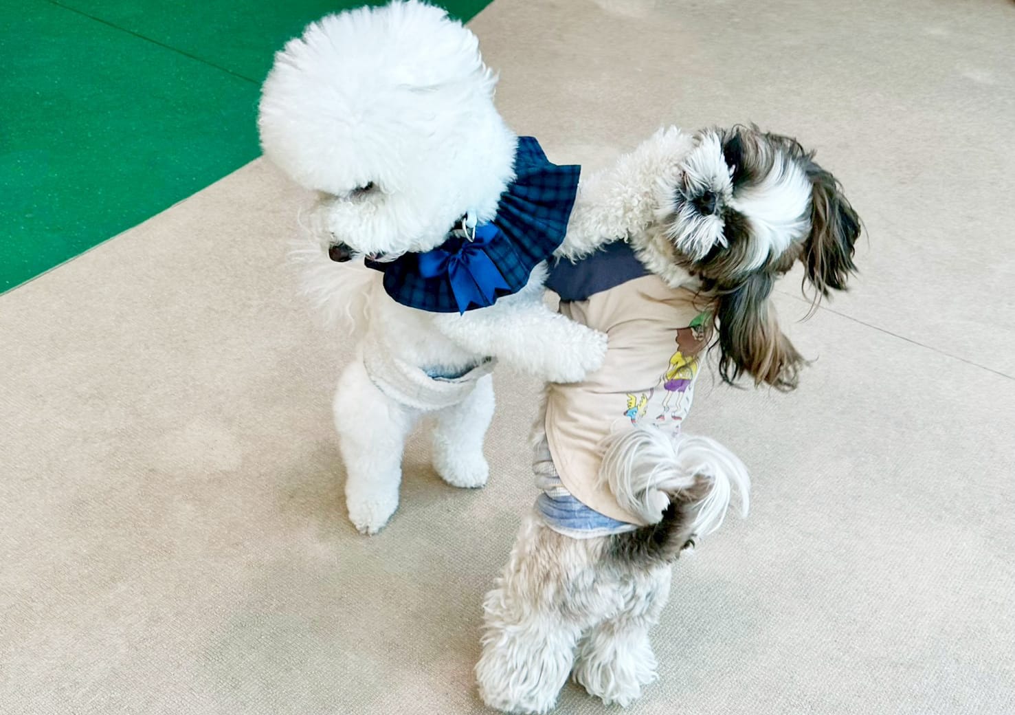 イベントアイキャッチ