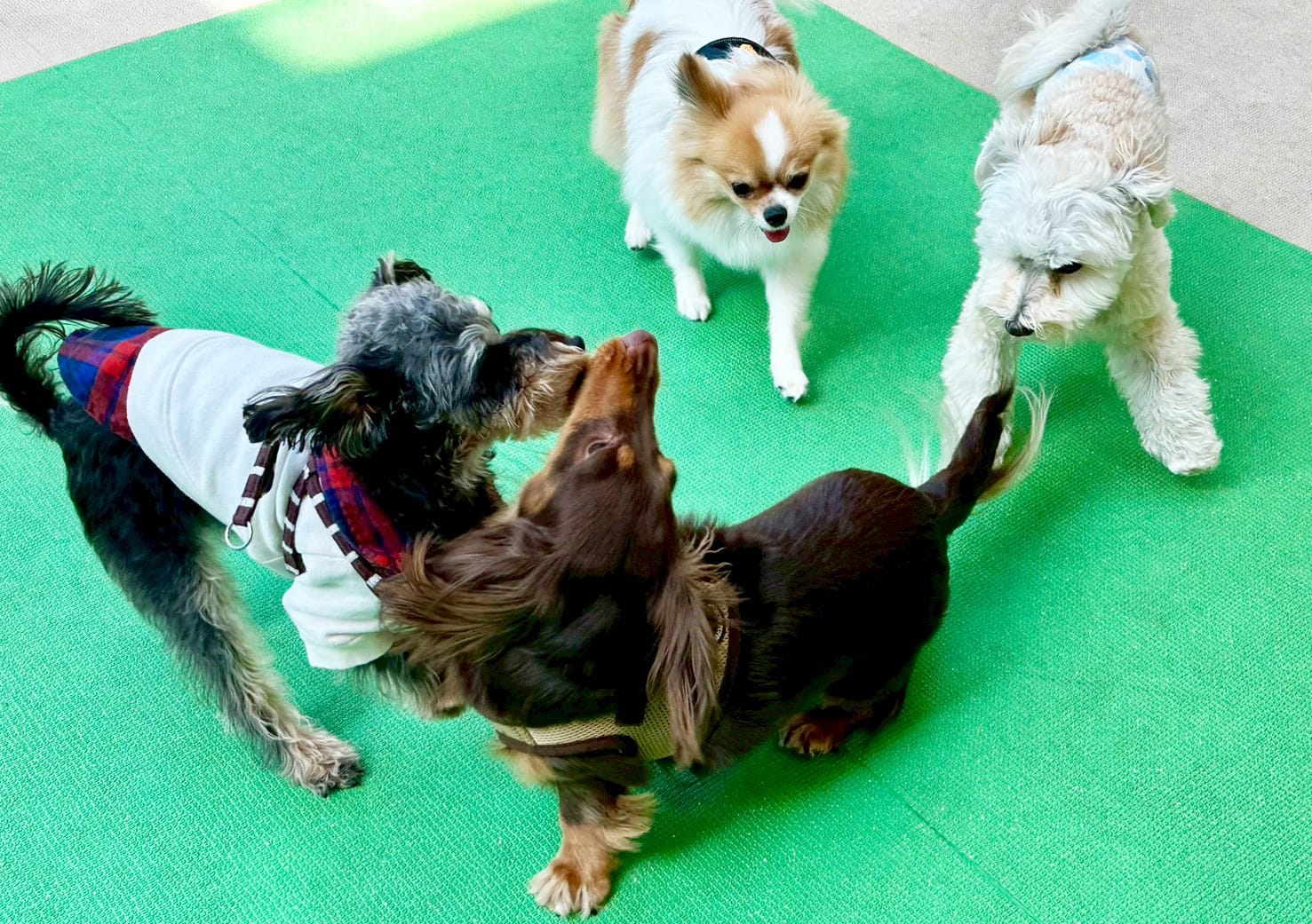 イベントアイキャッチ