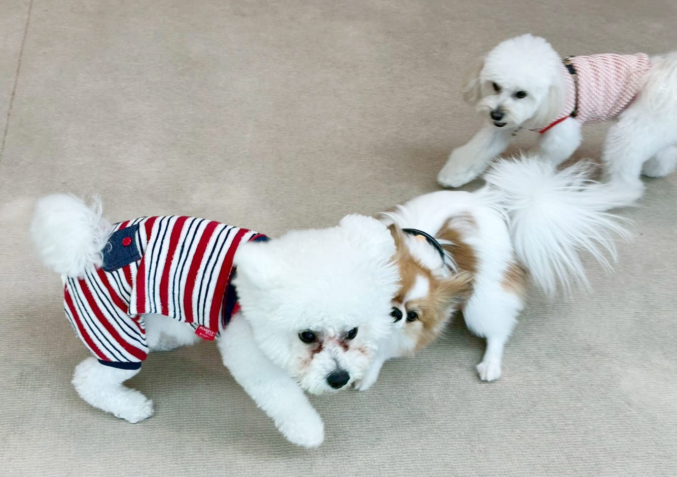 イベントアイキャッチ