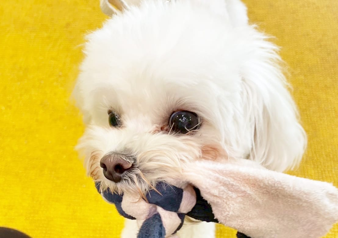 イベントアイキャッチ