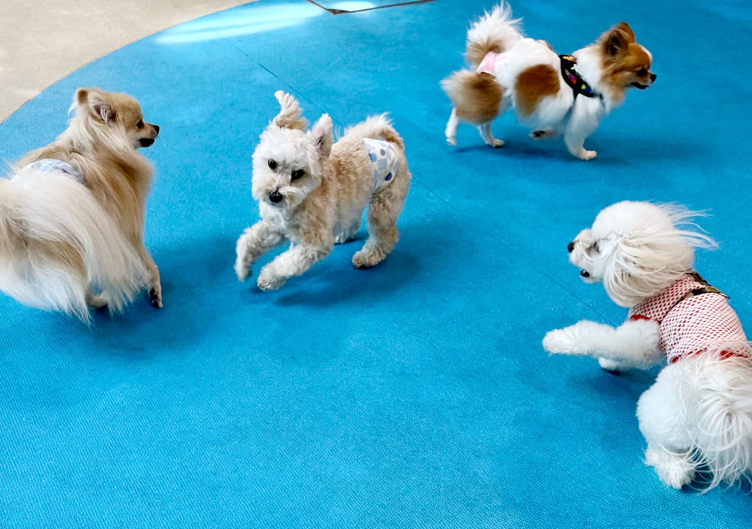 イベントアイキャッチ