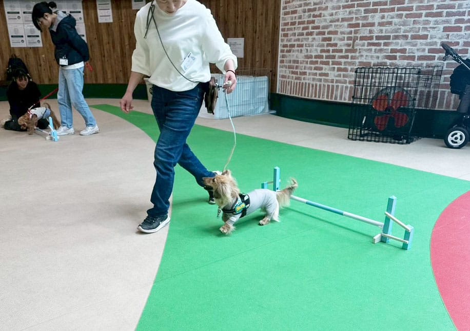 イベントアイキャッチ