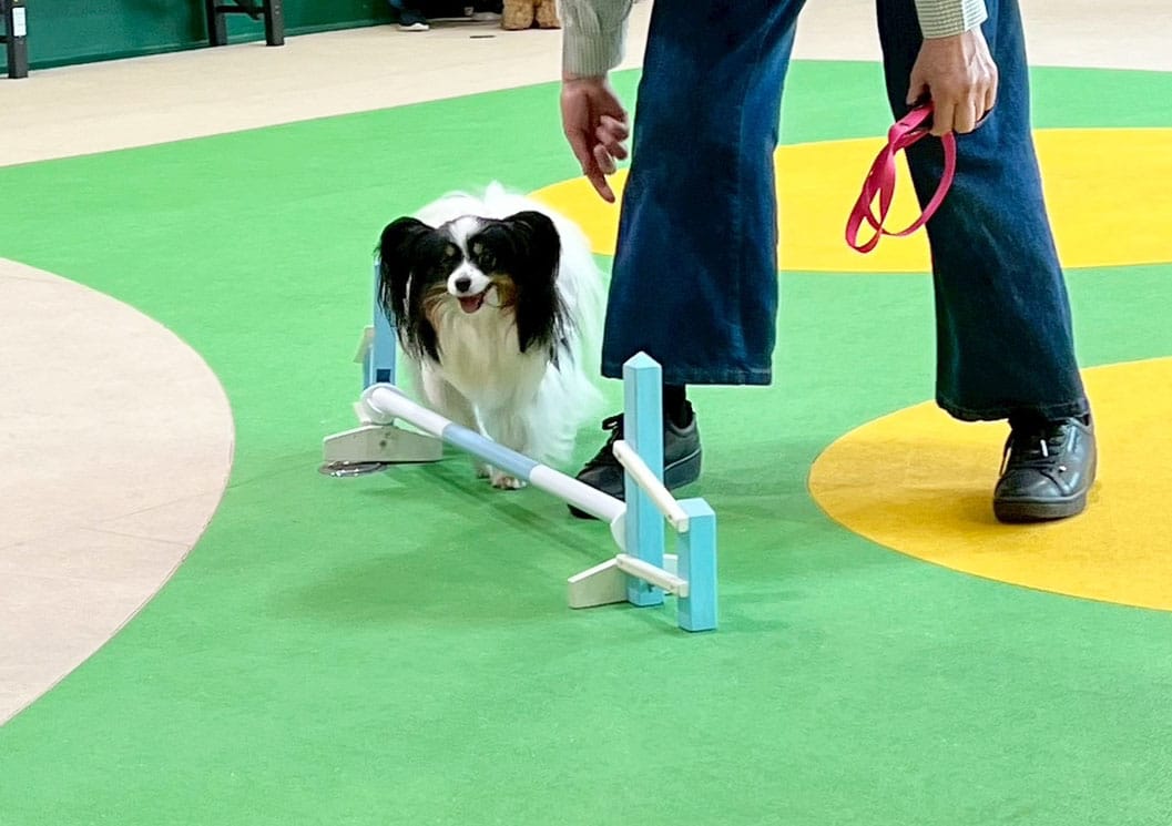 イベントアイキャッチ