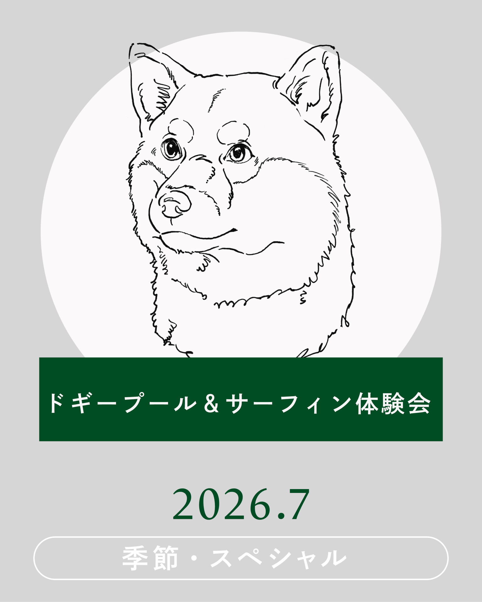 【2026年7月】ドギープール&サーフィン体験会開催