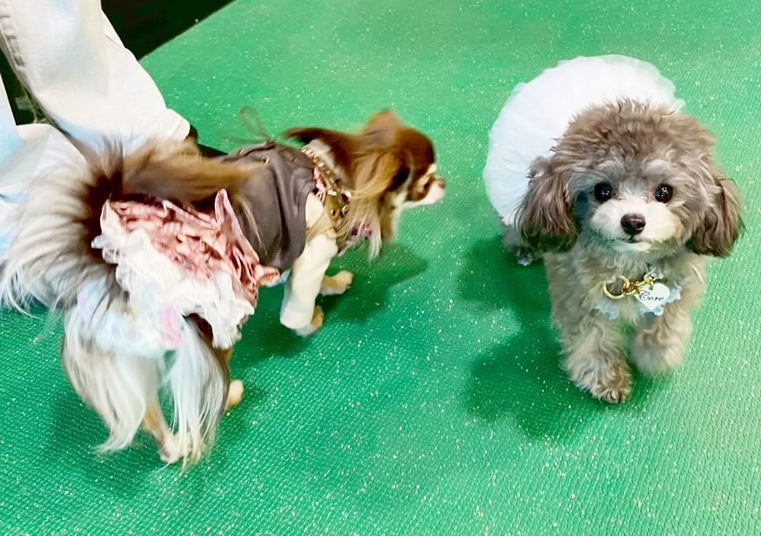 イベントアイキャッチ