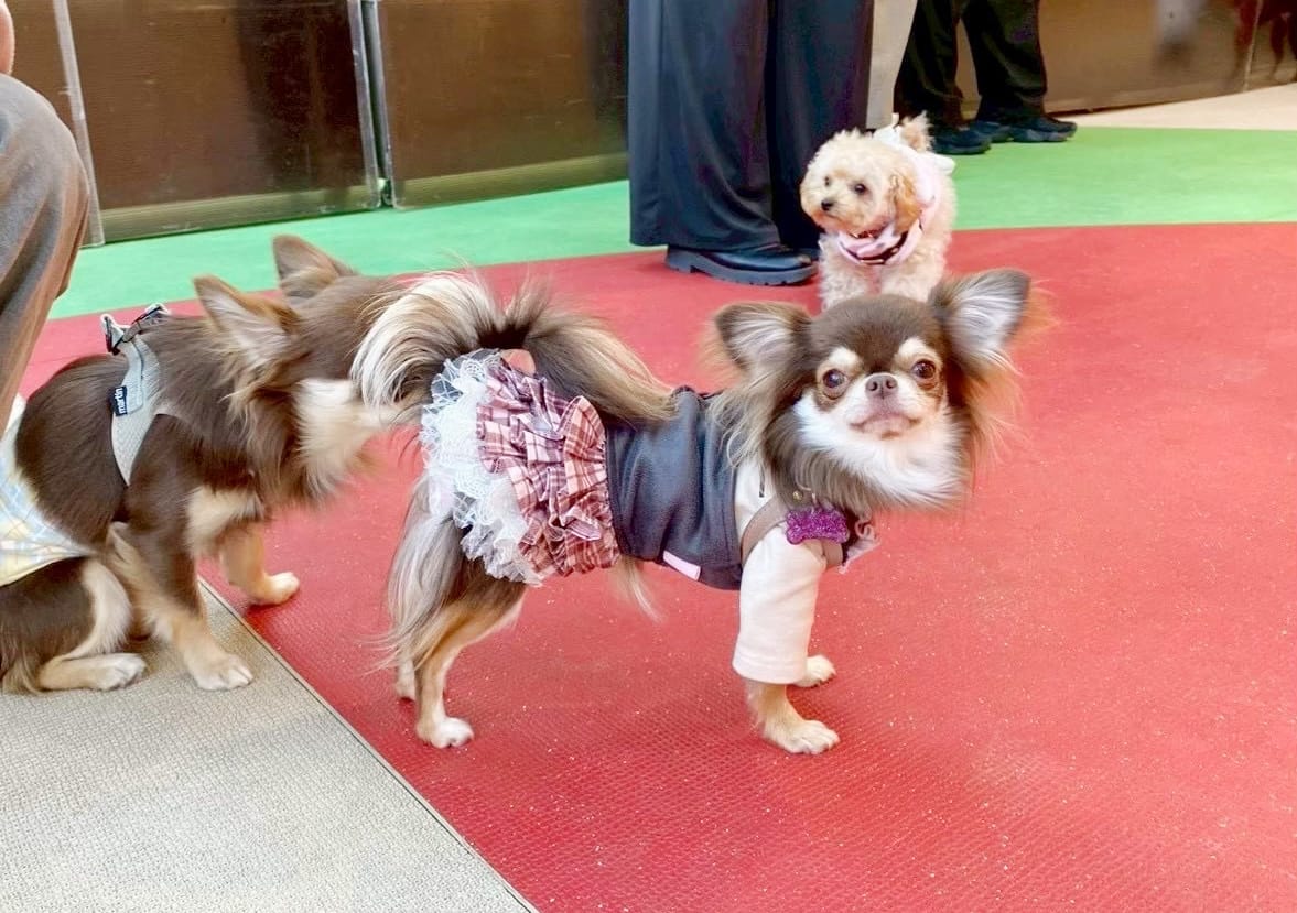 イベントアイキャッチ