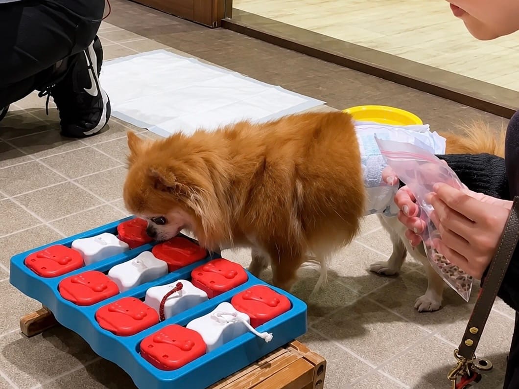 イベントアイキャッチ