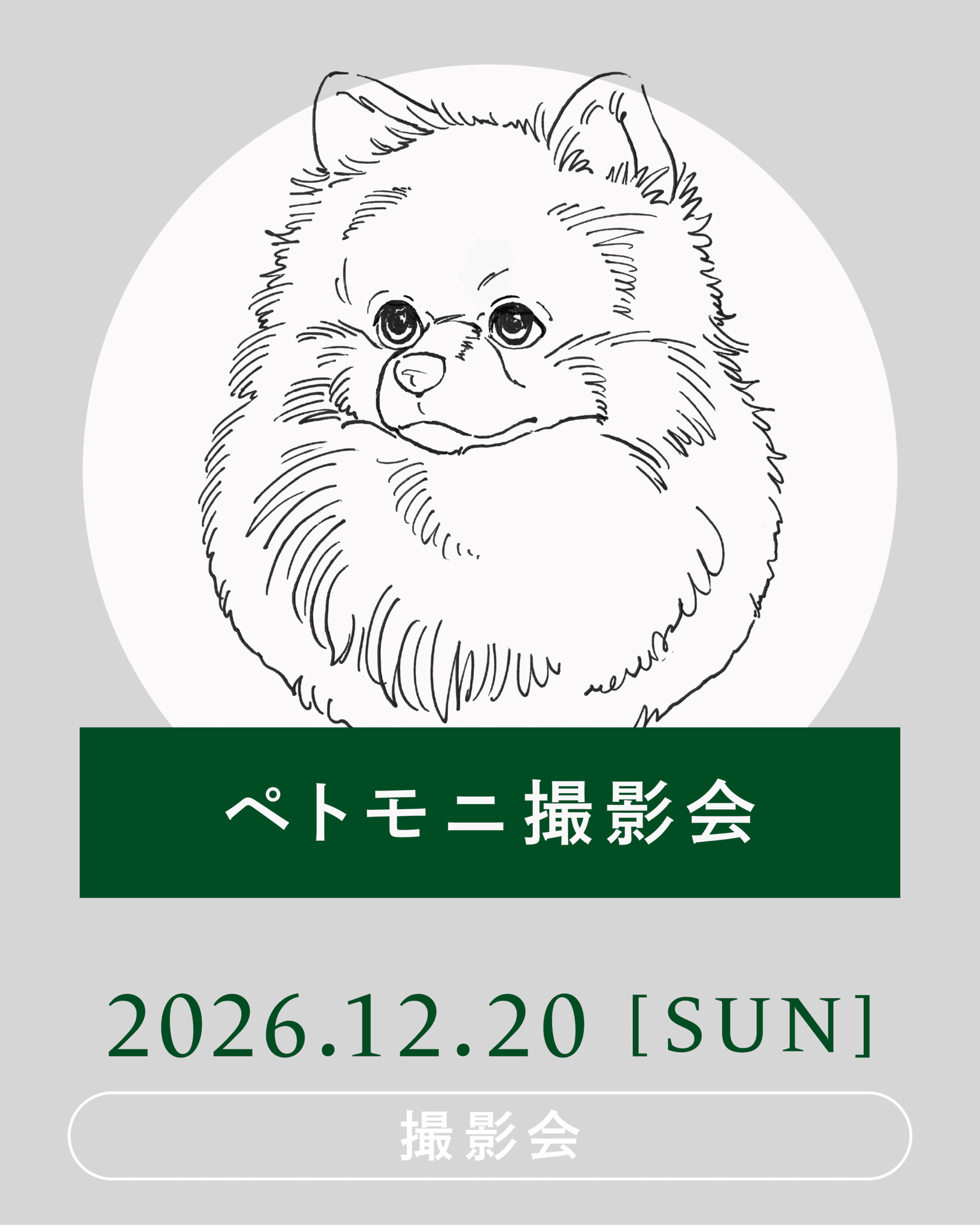【2026年12月】 petomoni(ペトモニ)愛犬撮影会開催