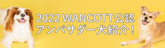 2022 WANCOTT公認アンバサダー犬紹介！