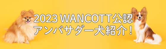 WANCOTTモデル犬コンテスト 2023WANCOTT公認アンバサダー