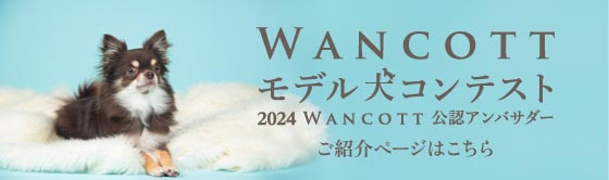WANCOTTモデル犬コンテスト WANCOTT公認アンバサダー
