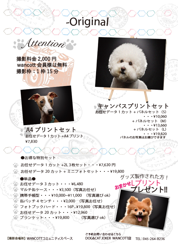 コミュニティスペース Joker主催 撮影会イベント開催 ペットホテル横浜 Wancott ワンコット 犬と人のための大型複合施設